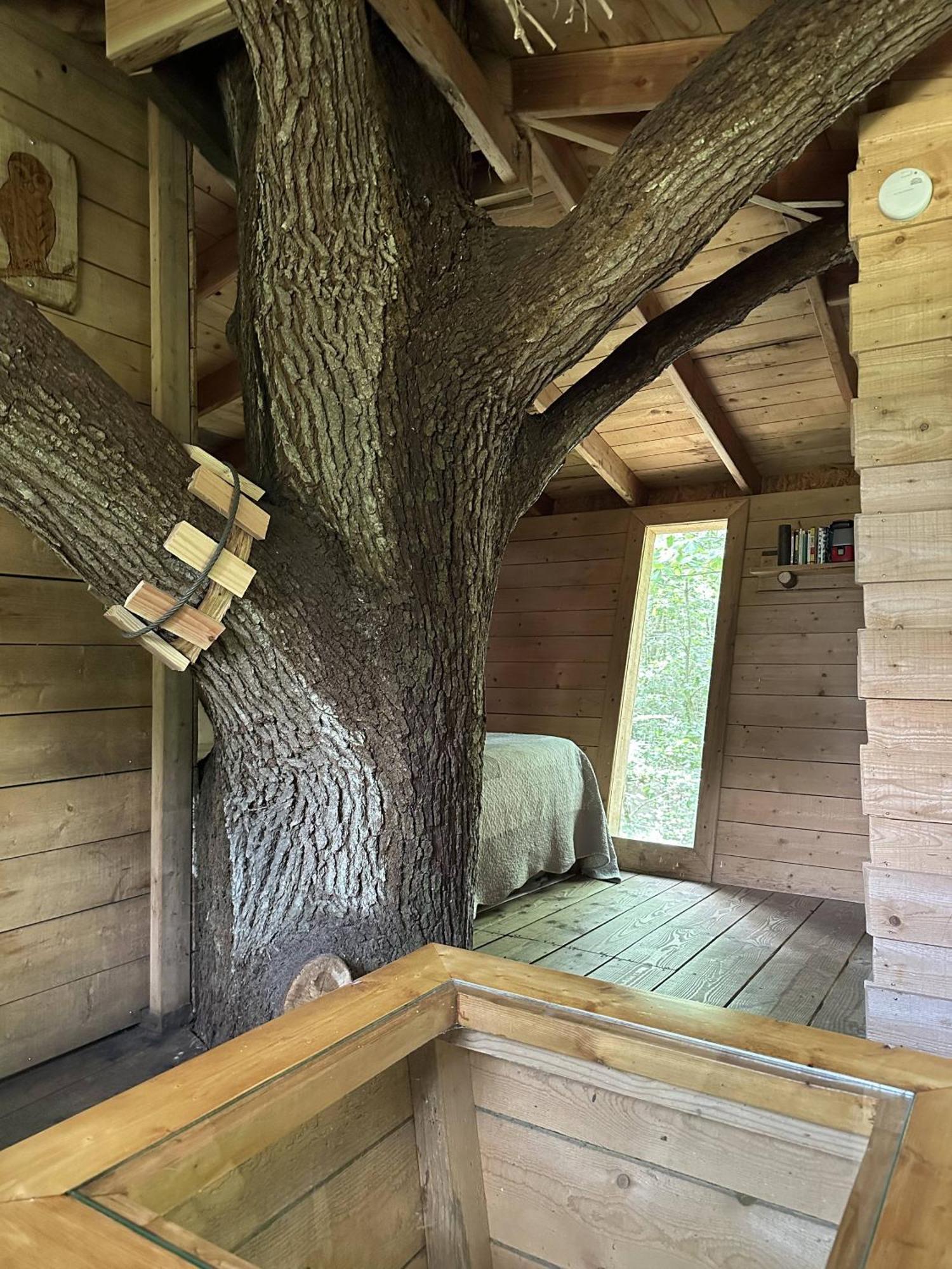 Les Ecolodges De L'Orbiere Forcé Exterior photo